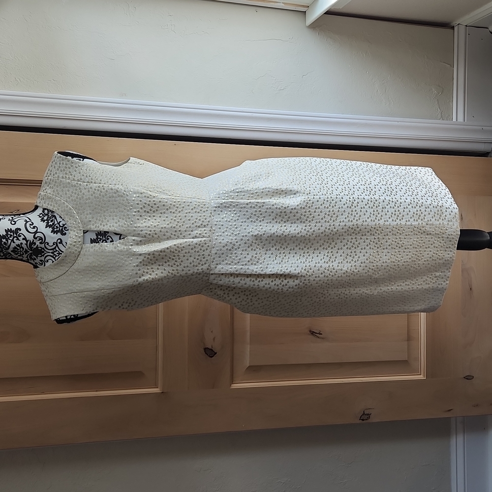 Shoshanna dress